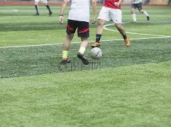 美联邦雇员,未提交周报,将视同自动,8波足球比分网,体育官网,平台入口,足球比分,即时比分,比分直播