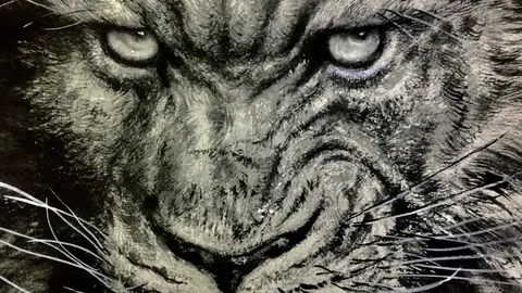 大乐透期号专家推荐解析：泰土战数据冲突猜想